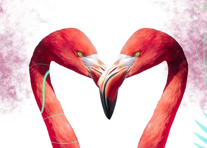 Flamingo Love Paradise