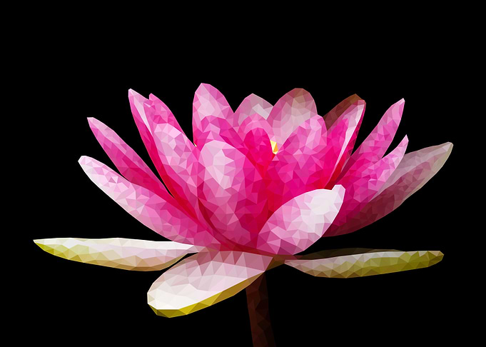 lotus low poly isometric
