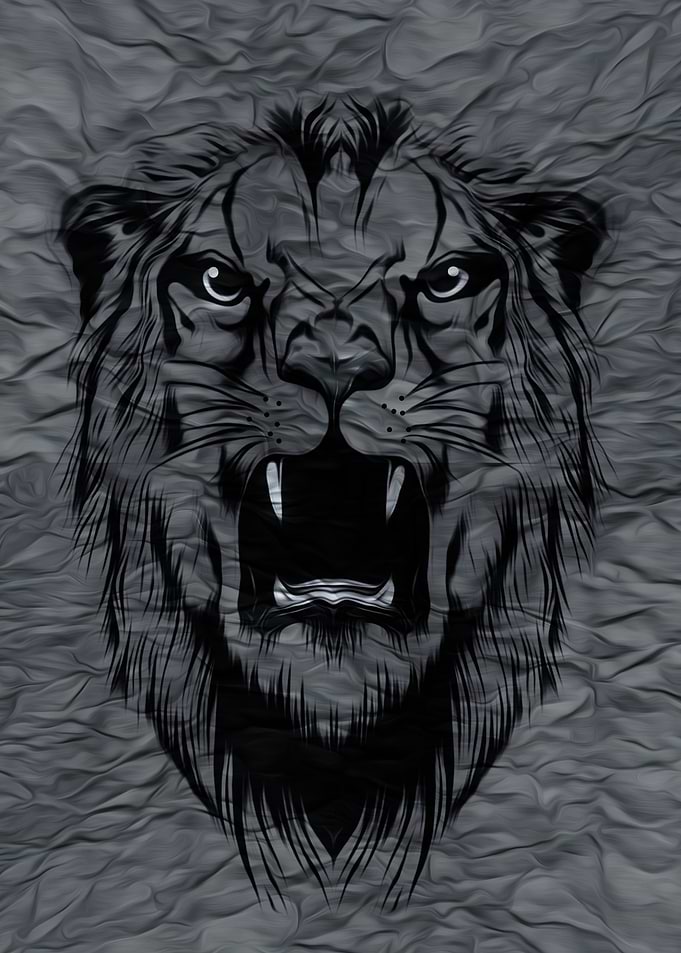 Colorful lion Drawing