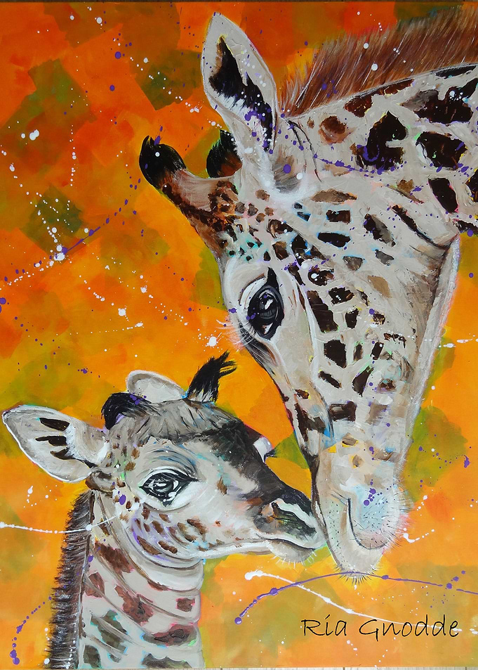 Giraffes