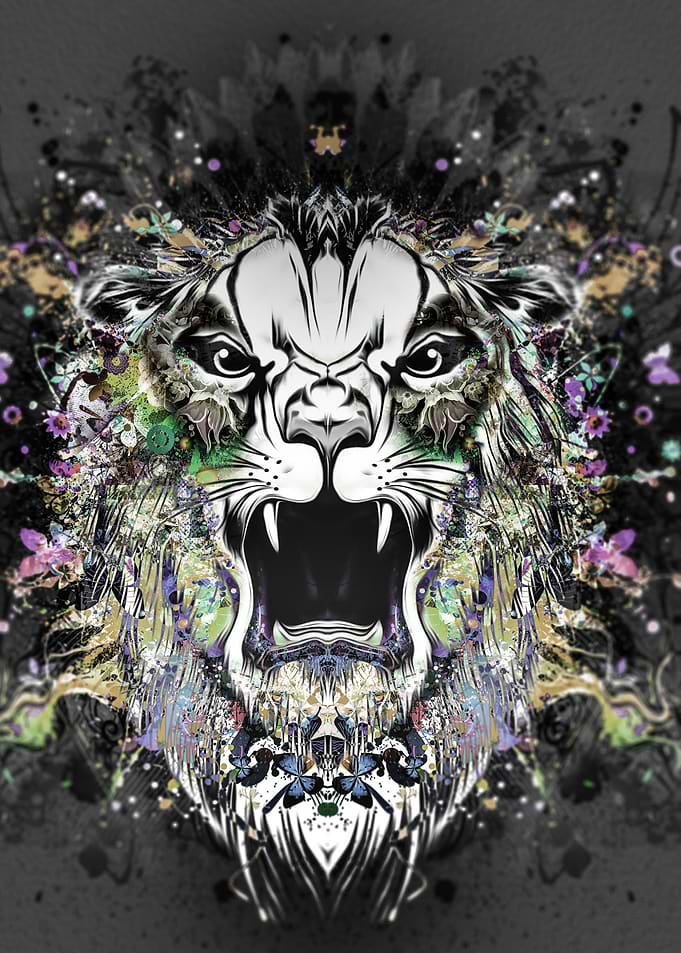 Colorful lion Drawing