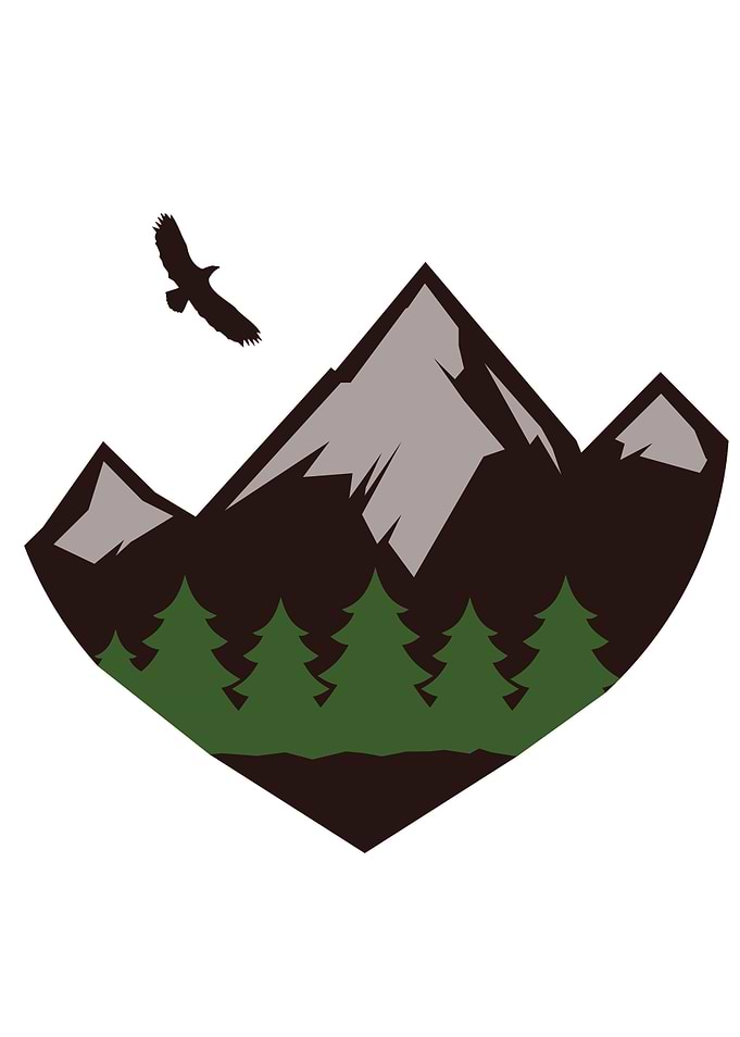 Mountains and Forest
