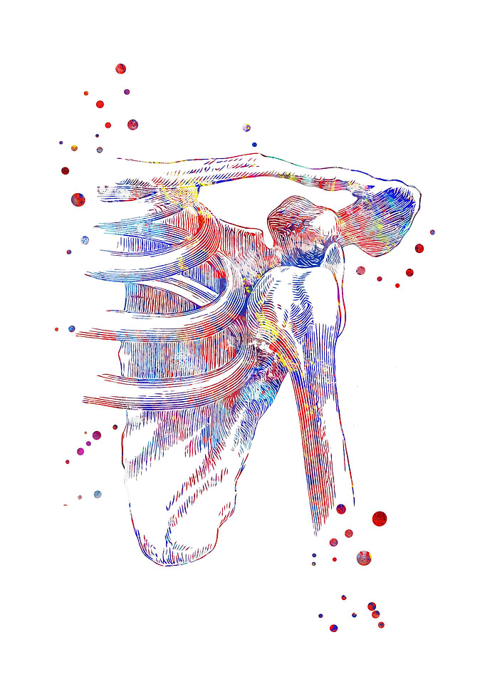 Shoulder dislocation