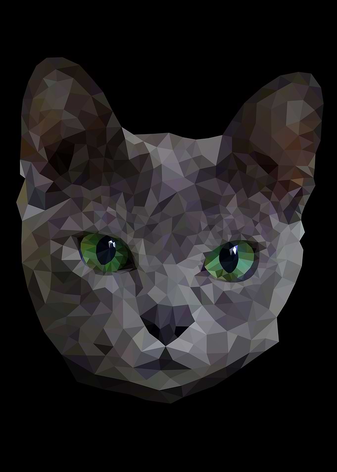low poly korat cat