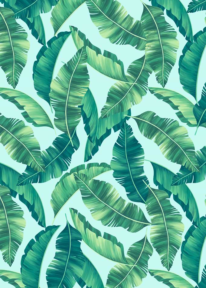 Tropical composition VIII