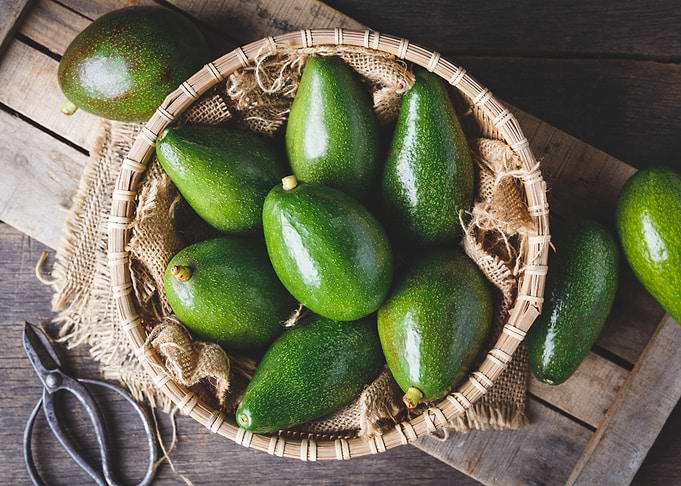 Fresh avocado