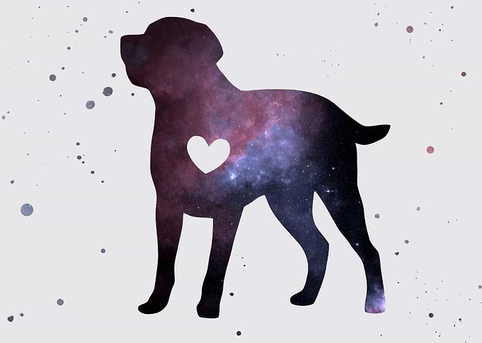 Labrador Nebula