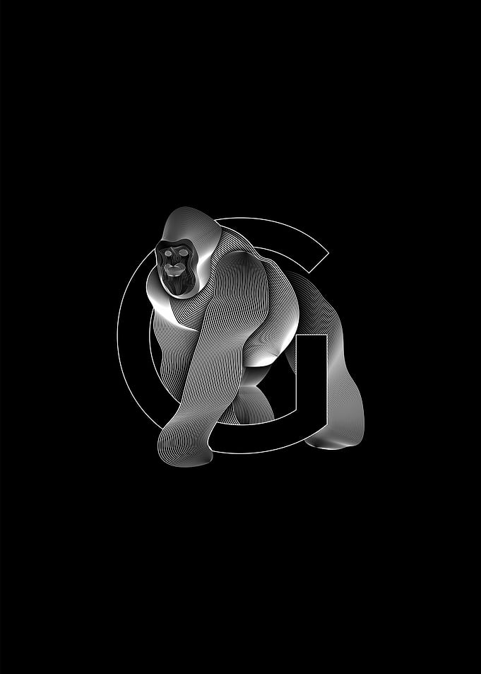 Gorrilla