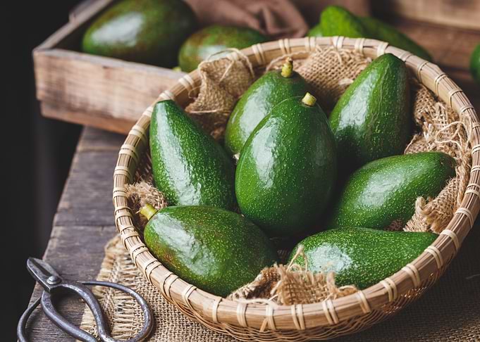 Fresh avocado