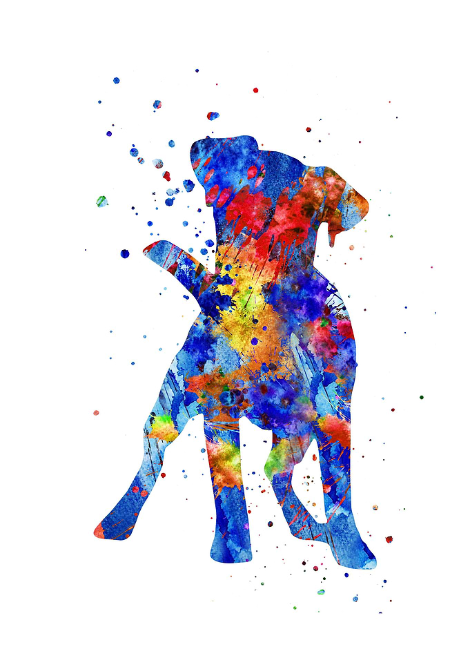 Jack Russell