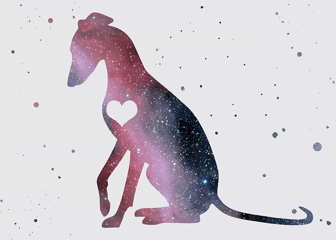 Whippet Nebula