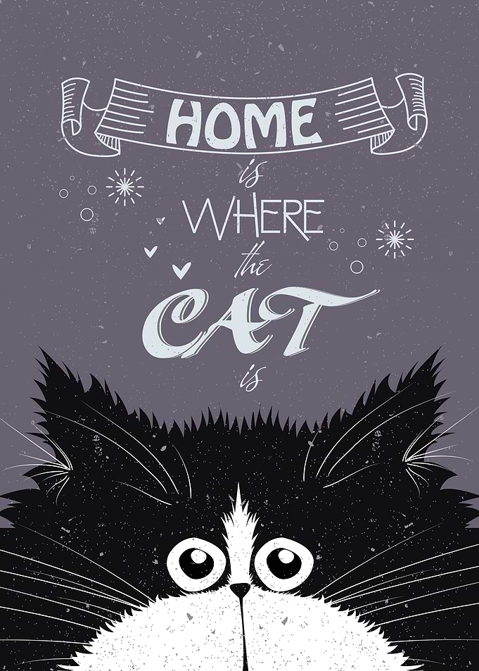 Cat Home