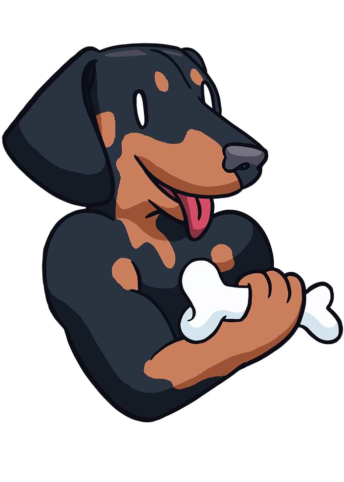 Bonelifter Dachshund Gym