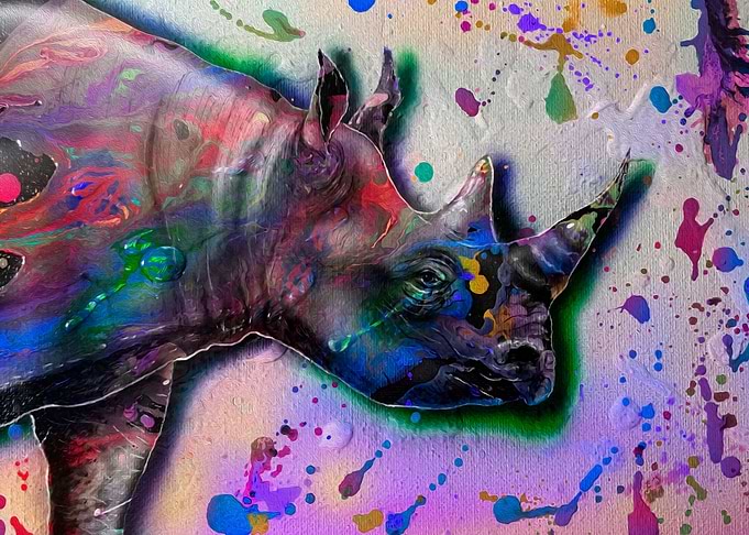Splatter rhino