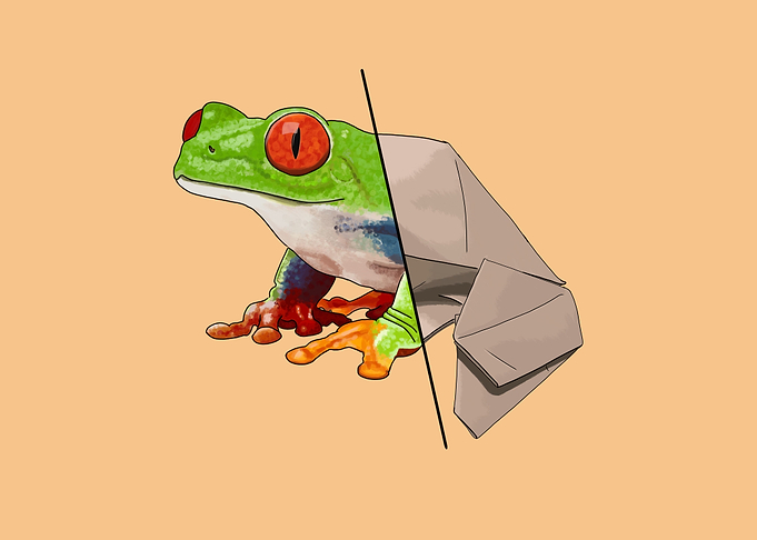 Frogigami