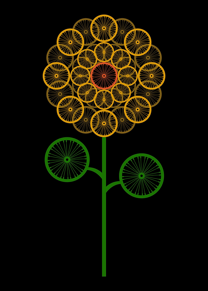 Sunflower Beautiful Bicycl