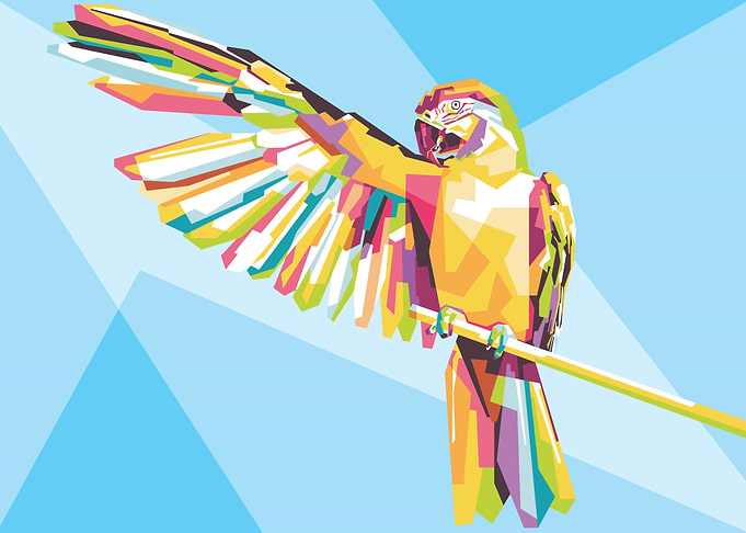 Scarlet Macaw