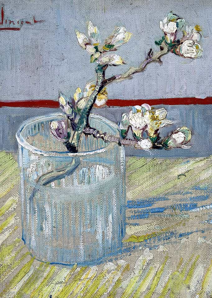 Blossoming Almond Branch