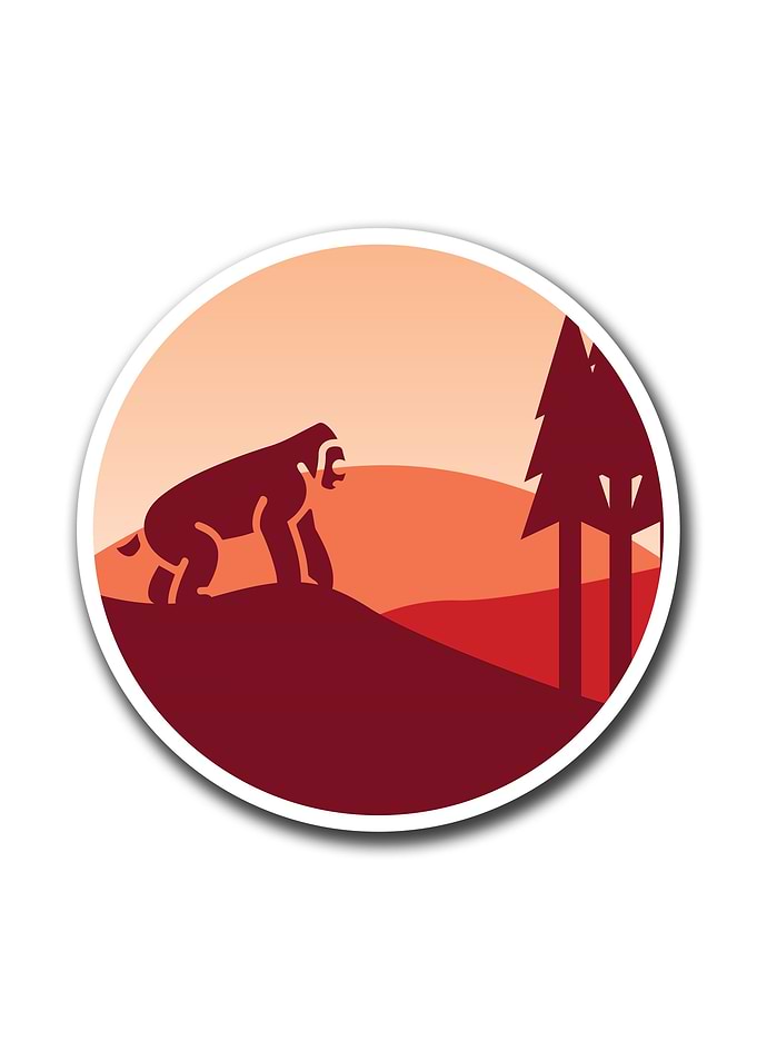 Gorilla