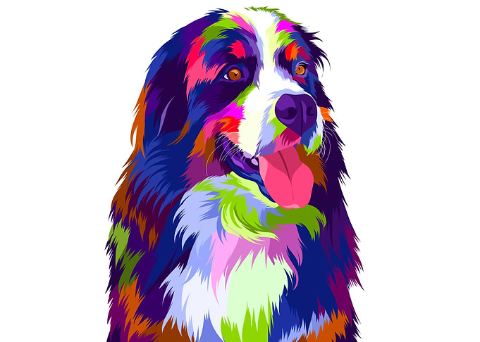 Pet portrait