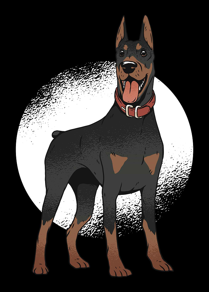 Dobermann
