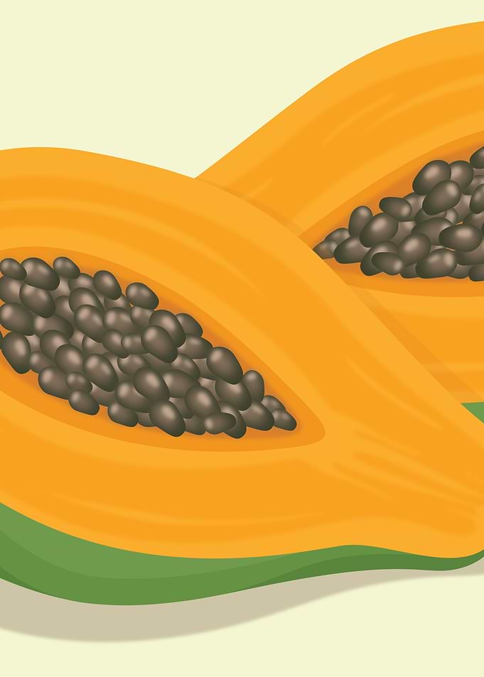 Papaya