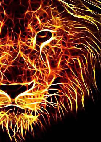 Fire Lion