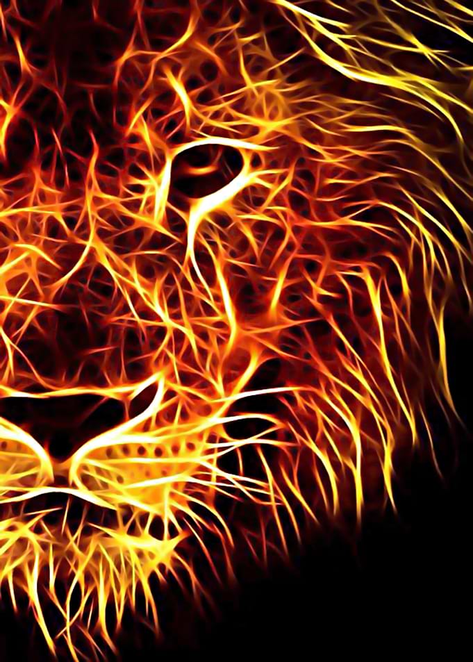 Fire Lion