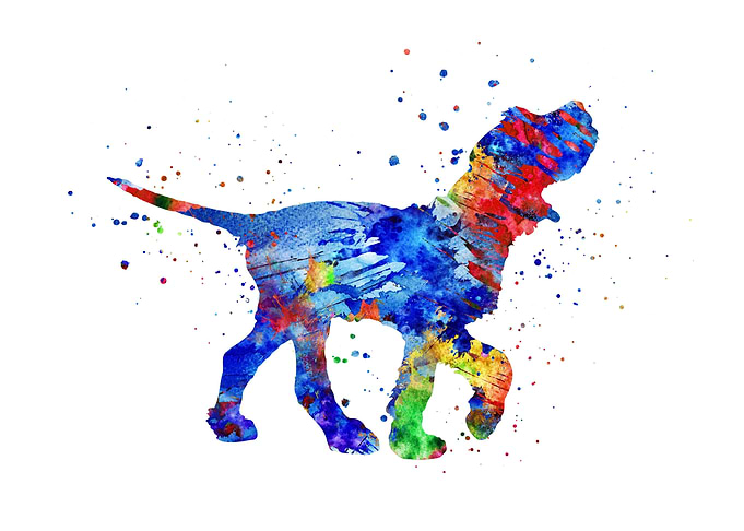 Italian Spinone