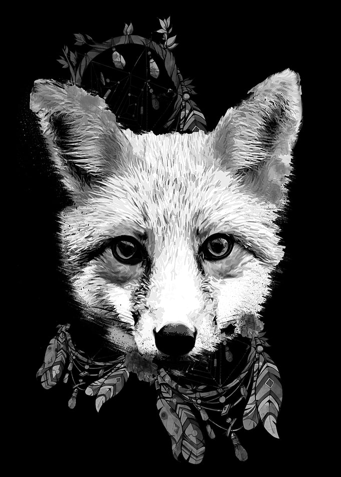 BlackFox with dreamcatcher