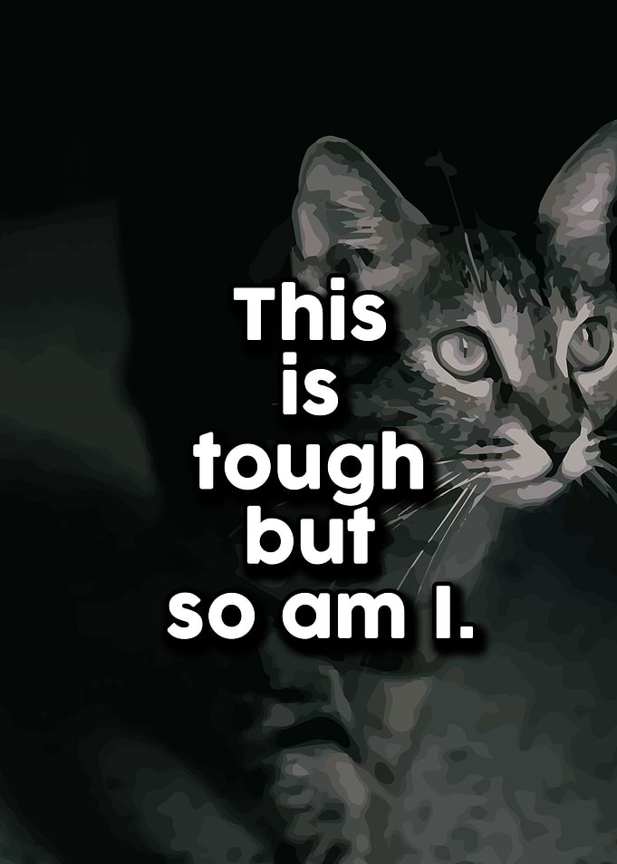 Motivational Quotes 339