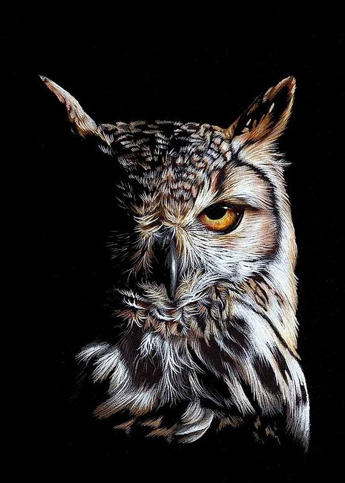 Eagle owl at twilight