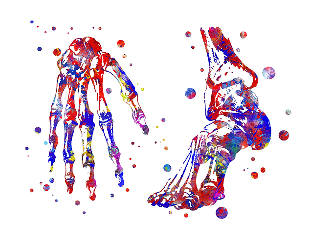 Hand and foot