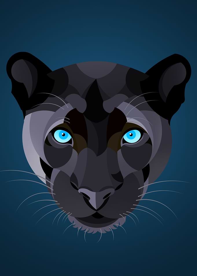 Black Panther Illustration