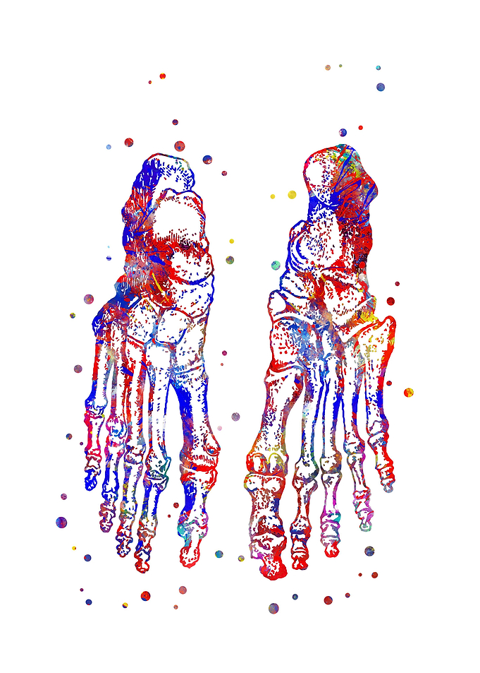 Foot