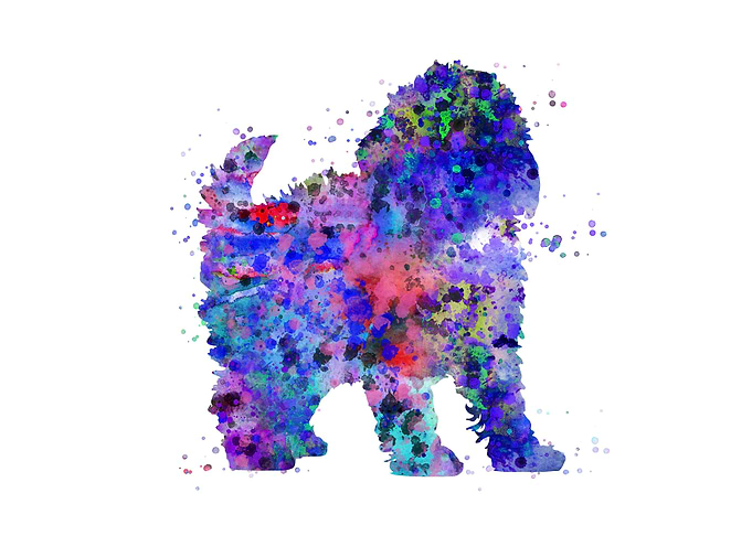 Labradoodle