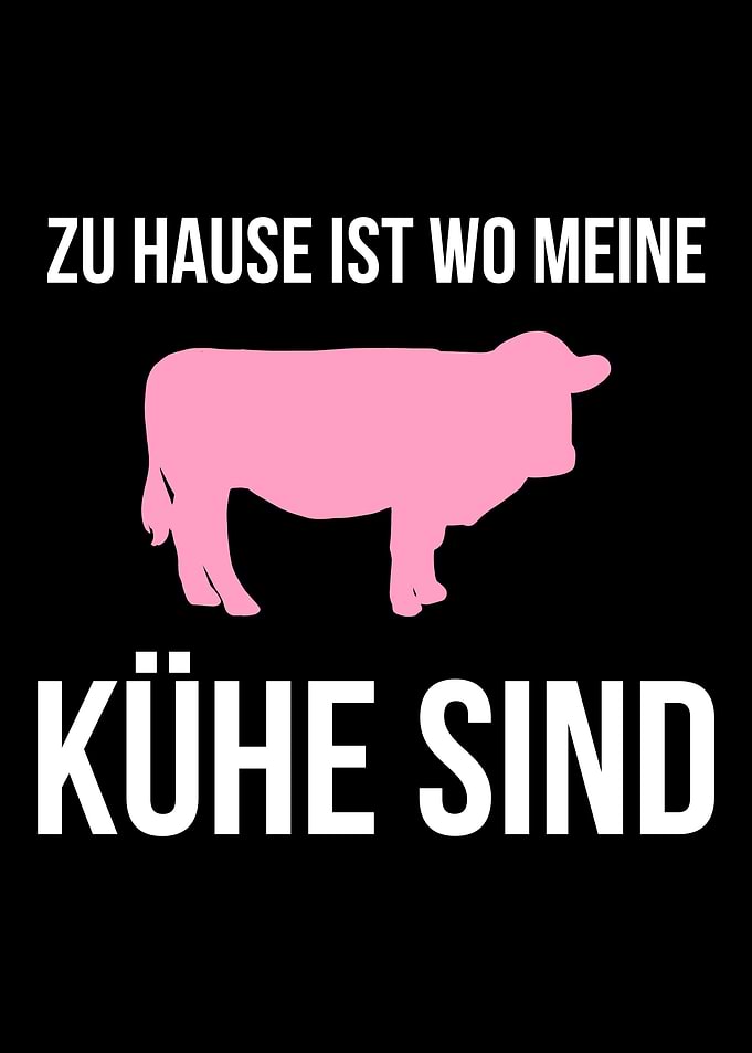 Kuh Khe Bauer Landwirt Wi