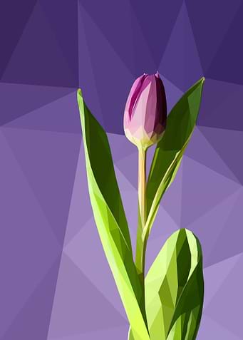 Violet Flower Lowpoly