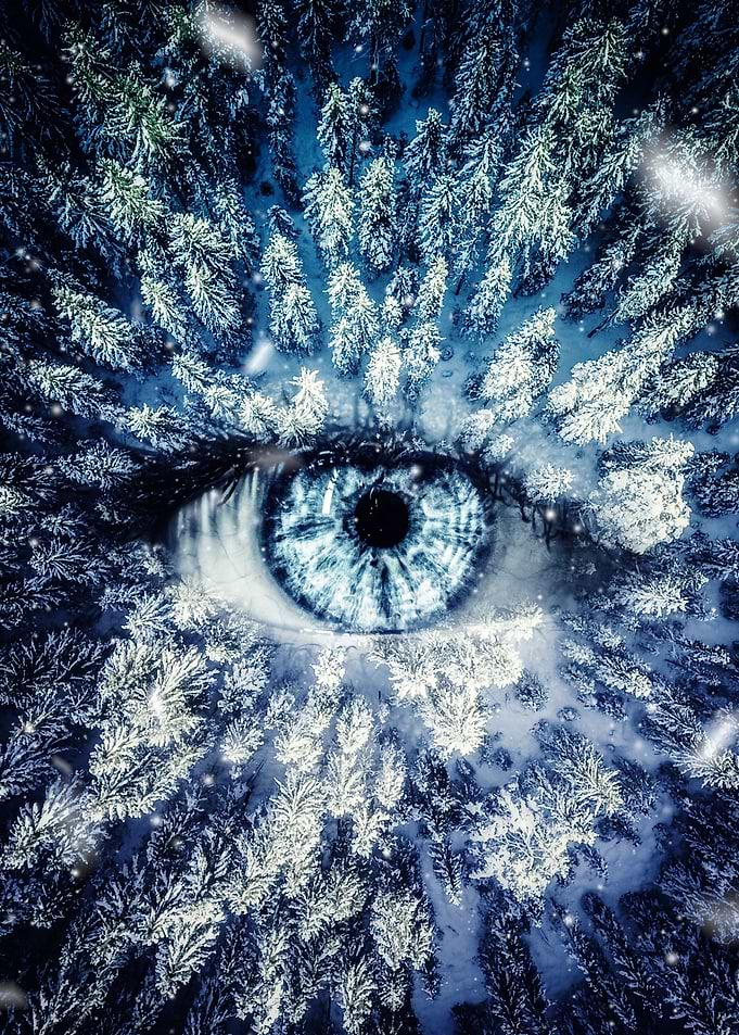 Eye Forest Winter Spirit
