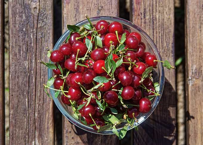 The bowl of cherries