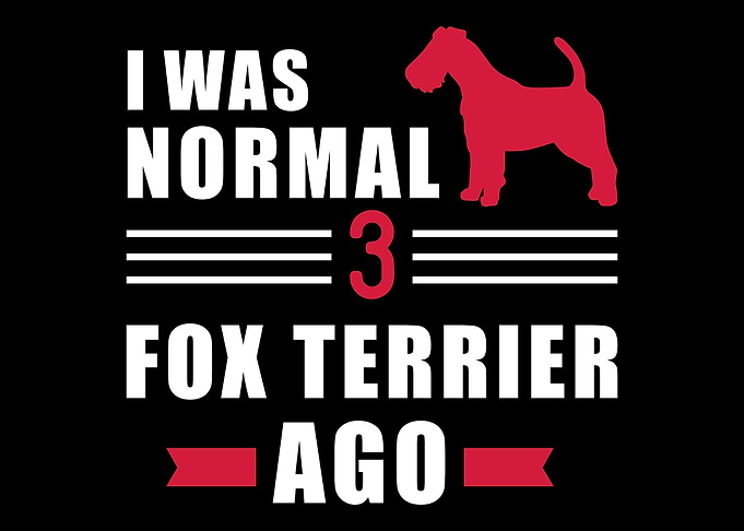 Fox Terrier