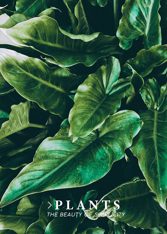 Plants Beauty Quote