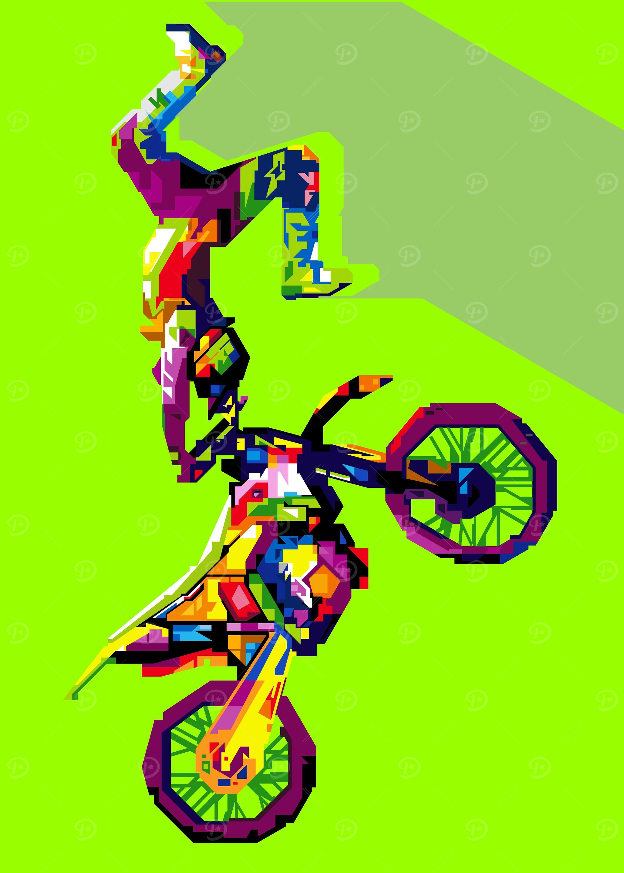 Motocross Freestyle Art 02