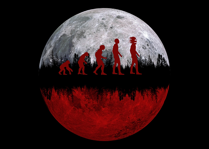 Halloween Evolution