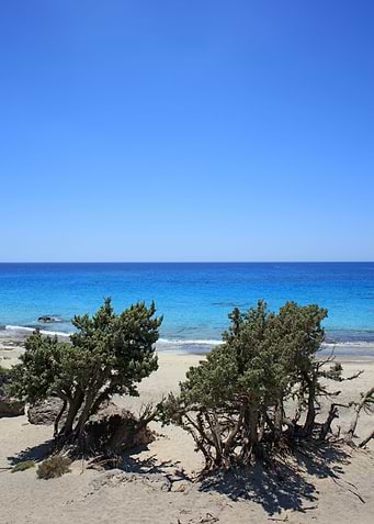 Kerdodasos beach Creta
