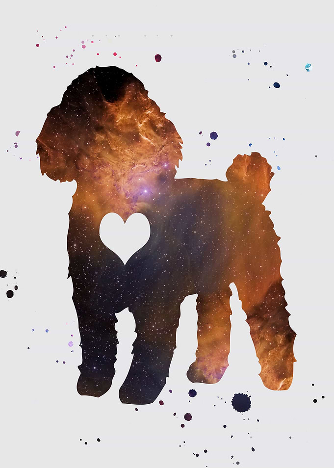 Poodle Nebula