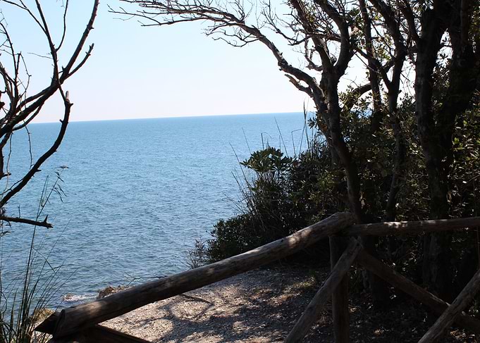 Sea