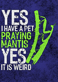 Praying Mantis Biology