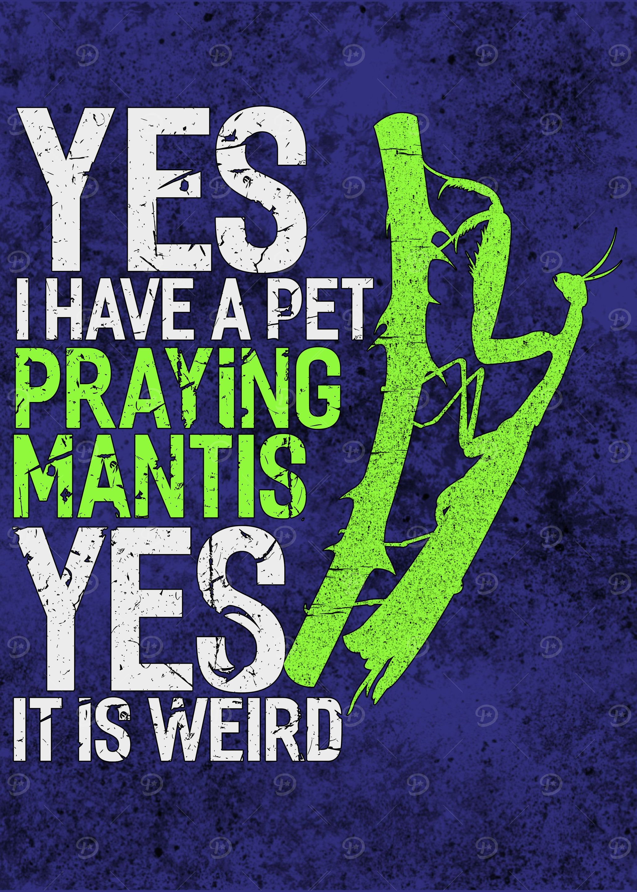 Praying Mantis Biology