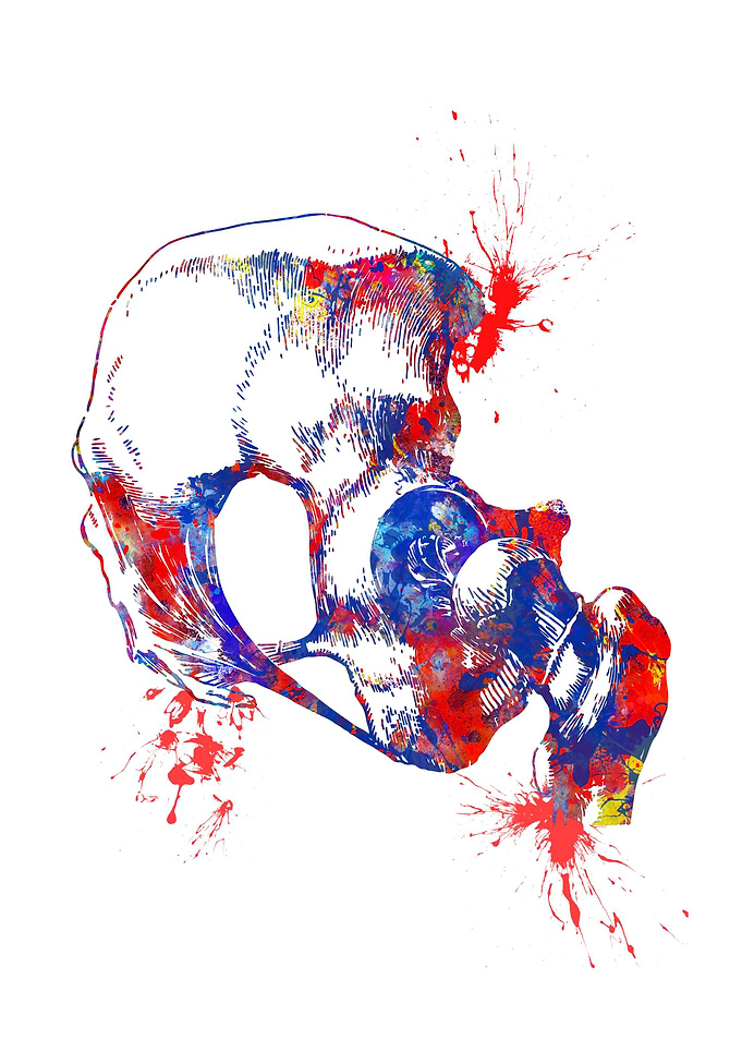 Hip joint